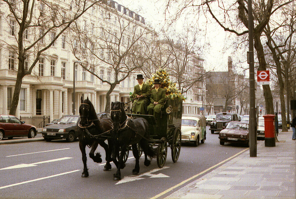 The horse-drawn delivery wagon for Harrods Department Store