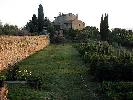 Podere San Lorenzo garden