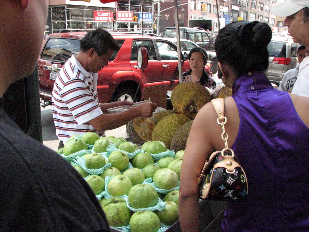 New York sidewalk vendors