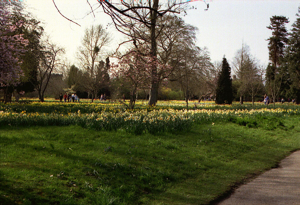 Hampton Court gardens