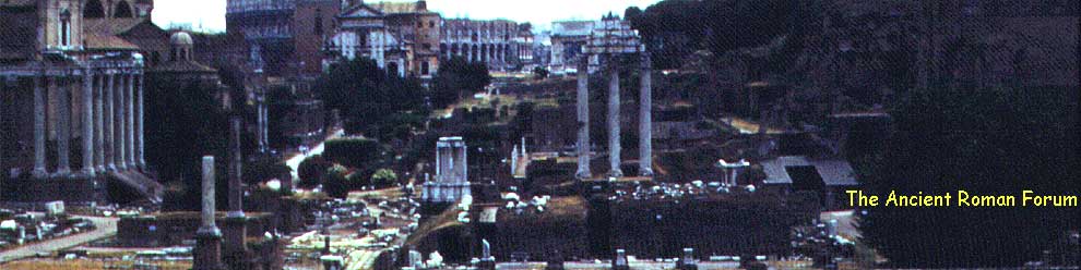 The Ancient Forum in Rome, Italy